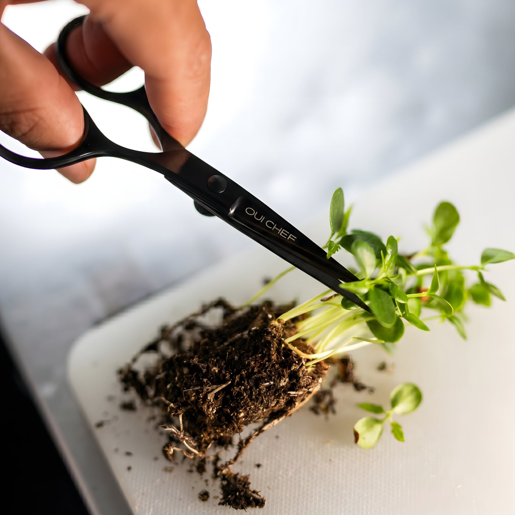 Chef using black Oui Chef kitchen scissors to finely cut fresh herbs on a preparation board.